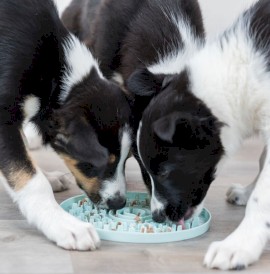 TRIXIE Taca Junior Licking Plate na przysmaki szczeniaka 21cm - Zdjęcie nr 8