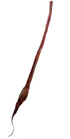 MACED 100% Natura Penis Wołowy Cały 1szt. - Zdjęcie nr 2
