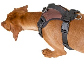 KERBL Szelki z odblaskami Pulsive Czarno-Brązowe 62-85cm - Zdjęcie nr 2