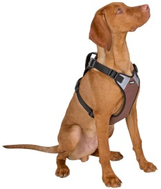 KERBL Szelki z odblaskami Pulsive Czarno-Brązowe 36-50cm - Zdjęcie nr 6