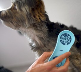 KERBL MagicBrush Soft Ocean Blue Szczotka dla psa - Zdjęcie nr 2