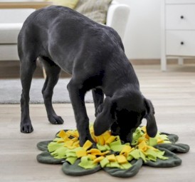 KERBL Mata węchowa Sunflower Zabawka sensoryczna 60cm - Zdjęcie nr 3