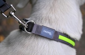 KERBL Obroża podświetlana Light / Reflex Żółta 45-65cm - Zdjęcie nr 3