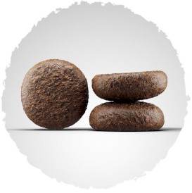 JOSERA YOUNGSTAR Junior bez zbóż 12,5kg - Zdjęcie nr 2