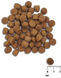 Vet Expert RAW PALEO HG Salmon Barley Puppy 2kg - Zdjęcie nr 2