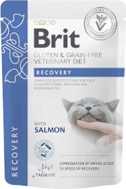 BRIT GF Veterinary Diet RECOVERY Cat z Łososiem 85g - Zdjęcie główne