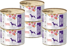 4VETS Natural GASTRO INTESTINAL dla psa 6x185g - Zdjęcie główne