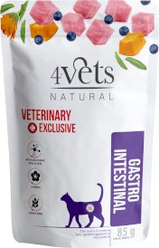 4VETS Natural GASTRO INTESTINAL dla kota 85g - Zdjęcie główne