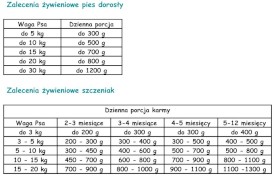 PAKA ZWIERZAKA Seventh MIX Smaków w puszkach 12x400g - Zdjęcie nr 2