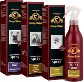 Champ-Richer Champion Spray zwiększający objętość włosów 250ml