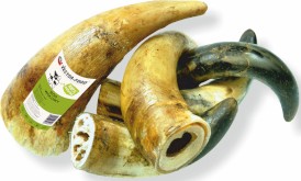 VECTOR-FOOD Rogi wołowe 150g - Zdjęcie nr 2