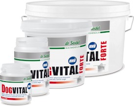 DR SEIDEL Dogvital Forte HMB dla psów aktywnych 1,5kg - Zdjęcie nr 2