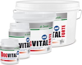 DR SEIDEL Dogvital Forte HMB dla psów aktywnych 400g - Zdjęcie nr 2