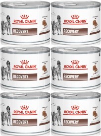 ROYAL CANIN VET RECOVERY Canine Feline 6 x 195g