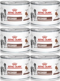 ROYAL CANIN VET RECOVERY Canine Feline 6x195g - Zdjęcie główne