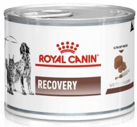ROYAL CANIN VET RECOVERY Canine Feline 6x195g - Zdjęcie nr 2