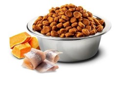 FARMINA ND DOG OCEAN Cod Pumpkin Orange Adult Mini 7kg - Zdjęcie nr 3