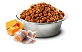 FARMINA ND DOG OCEAN Cod Pumpkin Orange Adult Mini 2,5kg - Zdjęcie nr 3