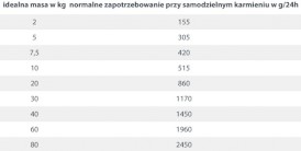 HAPPY DOG Sensible Pure AFRICA Struś 400g - Zdjęcie nr 4