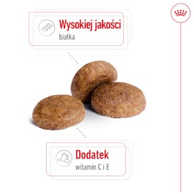ROYAL CANIN Medium Adult 7+ M 15kg - Zdjęcie nr 4