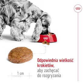 ROYAL CANIN Medium Adult 7+ M 15kg - Zdjęcie nr 5