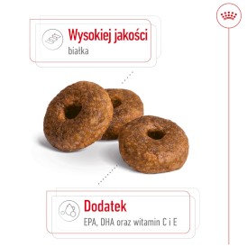 ROYAL CANIN Medium Ageing 10+ M 15kg - Zdjęcie nr 4