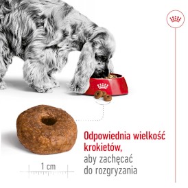 ROYAL CANIN Medium Ageing 10+ M 15kg - Zdjęcie nr 5