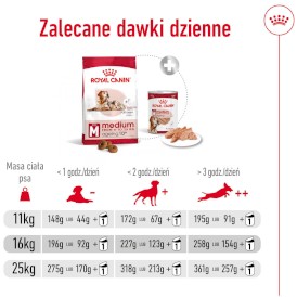 ROYAL CANIN Medium Ageing 10+ M 15kg - Zdjęcie nr 10