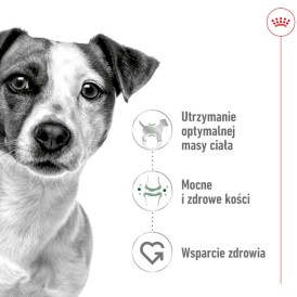 ROYAL CANIN Mini Adult S 8+1kg - Zdjęcie nr 3