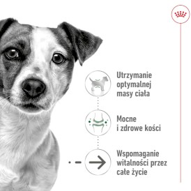 ROYAL CANIN Mini Ageing 12+ S 3,5kg - Zdjęcie nr 3