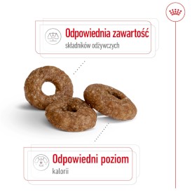 ROYAL CANIN Mini Ageing 12+ S 3,5kg - Zdjęcie nr 4