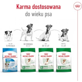 ROYAL CANIN Mini Ageing 12+ S 3,5kg - Zdjęcie nr 6