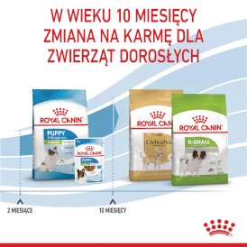 ROYAL CANIN X-Small Puppy XS 500g - Zdjęcie nr 7