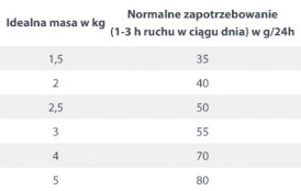HAPPY DOG Sensible MINI Adult XS Japan Pstrąg Wodorosty 300g - Zdjęcie nr 5