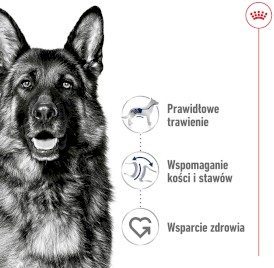 ROYAL CANIN Maxi Adult = PROMOCJA = L 15kg - Zdjęcie nr 3