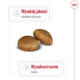 ROYAL CANIN Maxi Adult = PROMOCJA = L 15kg - Zdjęcie nr 4