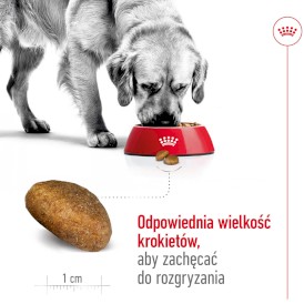 ROYAL CANIN Maxi Adult = PROMOCJA = L 15kg - Zdjęcie nr 5