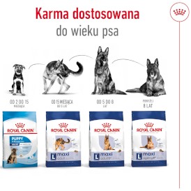 ROYAL CANIN Maxi Adult = PROMOCJA = L 15kg - Zdjęcie nr 11