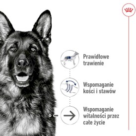 ROYAL CANIN Maxi Ageing 8+ L 15kg - Zdjęcie nr 3