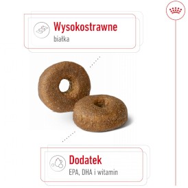ROYAL CANIN Maxi Ageing 8+ L 15kg - Zdjęcie nr 4
