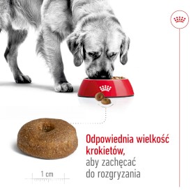 ROYAL CANIN Maxi Ageing 8+ L 15kg - Zdjęcie nr 5