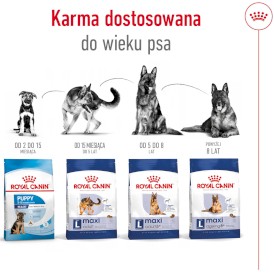 ROYAL CANIN Maxi Ageing 8+ L 15kg - Zdjęcie nr 6