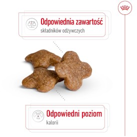 ROYAL CANIN Mini Adult 8+ S 8kg - Zdjęcie nr 4
