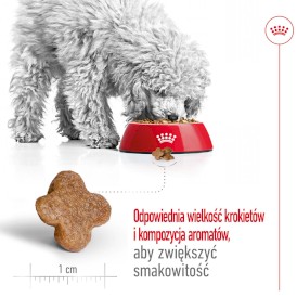ROYAL CANIN Mini Adult 8+ S 8kg - Zdjęcie nr 5