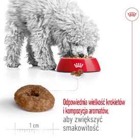 ROYAL CANIN Mini Ageing 12+ S 800g - Zdjęcie nr 5
