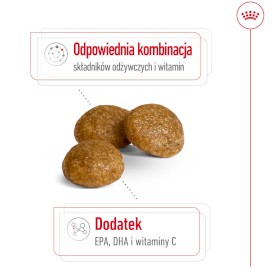 ROYAL CANIN X-Small Adult 8+ XS 500g - Zdjęcie nr 4