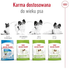 ROYAL CANIN X-Small Adult 8+ XS 500g - Zdjęcie nr 6