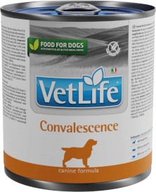 FARMINA Vet Life Convalescence Dog 300g - Zdjęcie główne