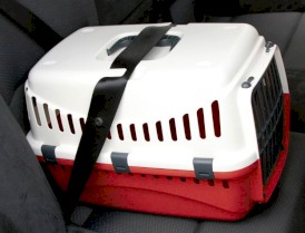 KERBL Transporter Expedion 1 Kremowo-Bordowy 45 x 30 cm - Zdjęcie nr 5