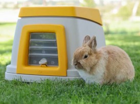 KERBL Królicza Norka Bunny Base Kompletny zestaw - Zdjęcie nr 14